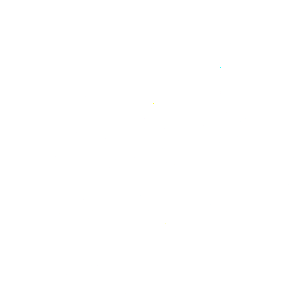 logo_bodenan-elagage_blanc