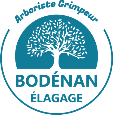 logo bodenan-elagage