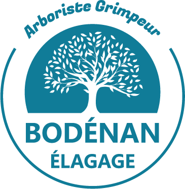 Bodénan élagage